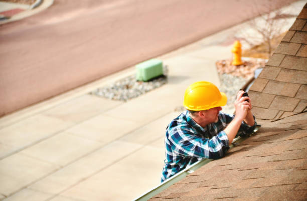 Best Roof Gutter Cleaning  in Omro, WI