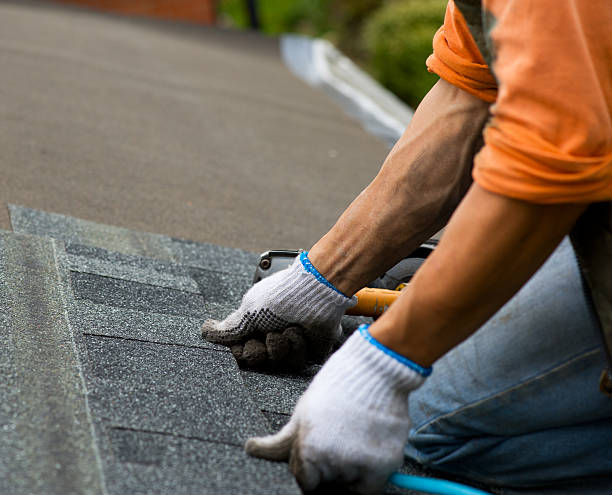 Best New Roof Installation  in Omro, WI
