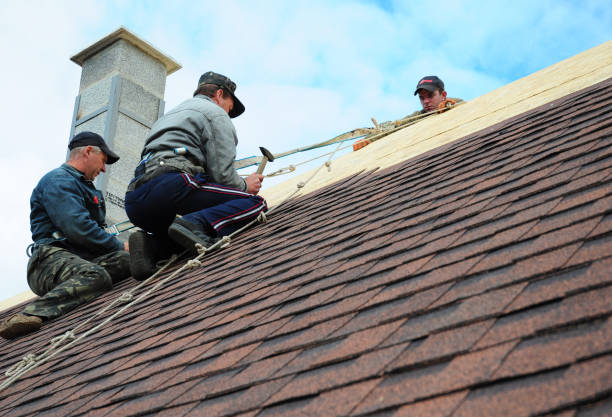 Best Flat Roof Repair Services  in Omro, WI